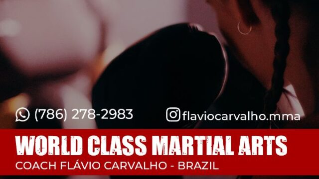 World Class Martial Arts